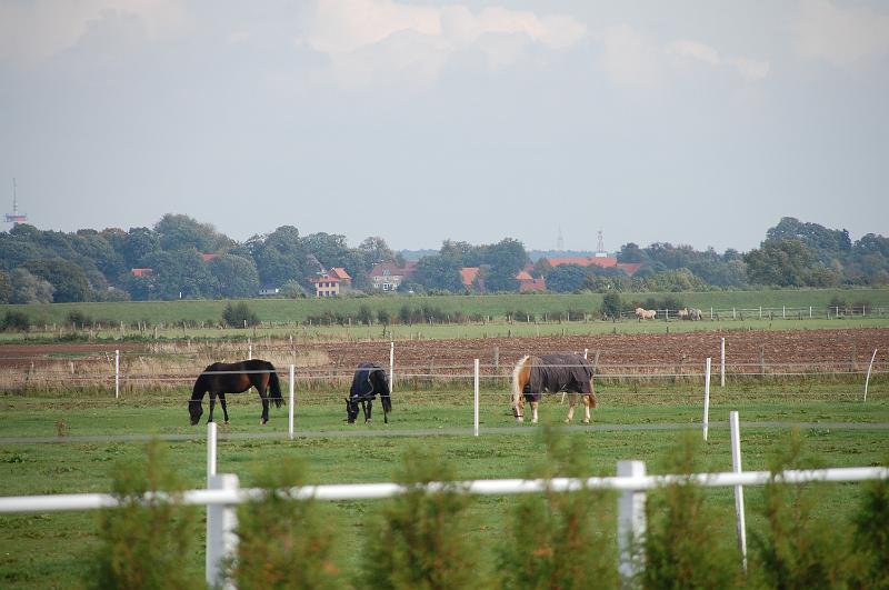 Tagesausritt Oktober 2008130.JPG